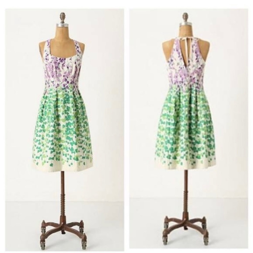 Anthropologie Wisteria Dress size 2